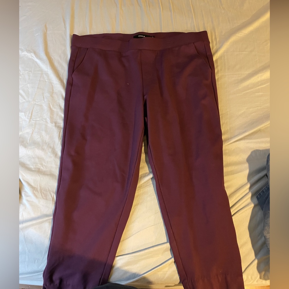Torrid Plum Formal Pants Stretch